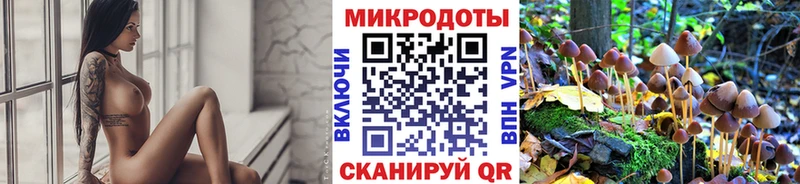Галлюциногенные грибы мухоморы  Сланцы 
