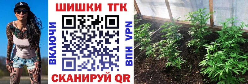 Бошки Шишки гибрид  Сланцы 